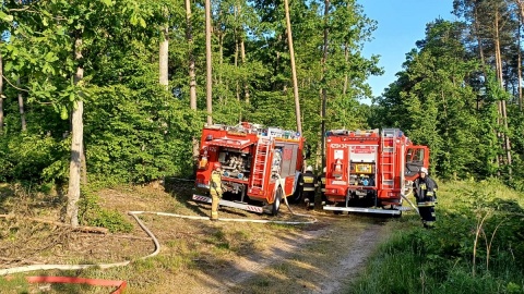 Ogień to śmiertelne zagrożenie dla lasu i ludzi. Fot. facebook.com/kwpspolsztyn