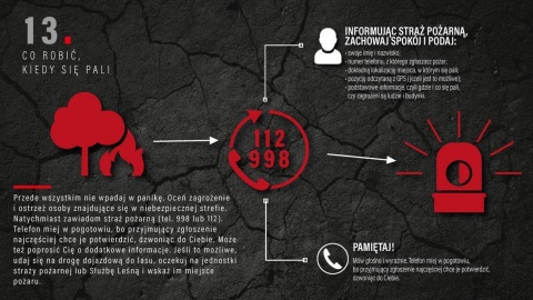 Ogień to śmiertelne zagrożenie dla lasu i ludzi. Fot. facebook.com/LasyPanstwowe