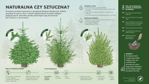 Dlaczego naturalna choinka? Grafika: facebook.com/LasyPanstwowe