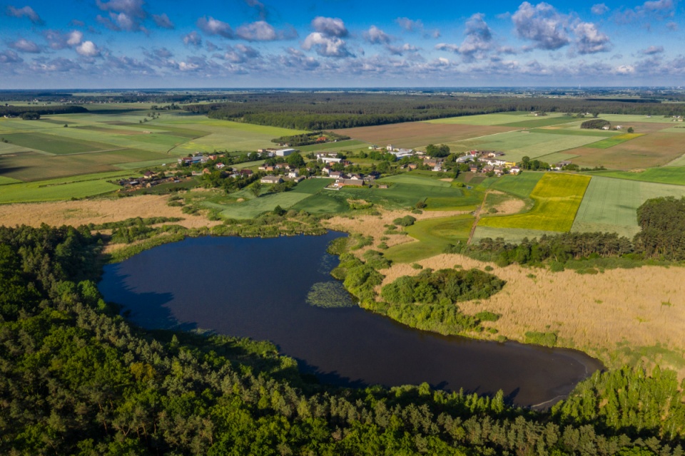 Ciencisko. Fot. Regionalna Dyrekcja Lasów Państwowych w Toruniu