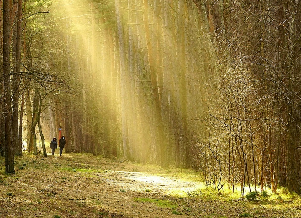 Jak relacja z naturą wpływa na nasze zdrowie i samopoczucie? Fot. ilustracyjna/Nowaja/pixabay.com