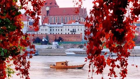 Nasuta Copernicus. Fot. nadesłane