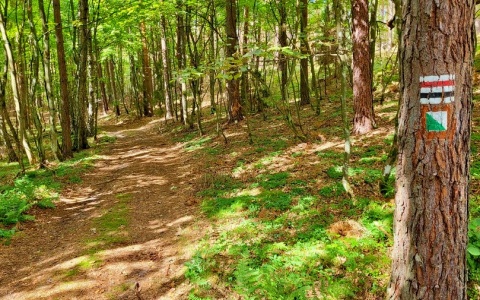 Uchwycić naturę w obiektywie. Wdecki Park Krajobrazowy ogłosił konkurs fotograficzny