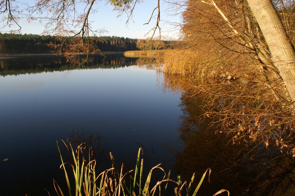 Jezioro Strażym. Fot. facebook.com/Brodnicki-Park-Krajobrazowy