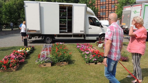 Przynieśli posegregowane śmieci, w zamian dostali rośliny