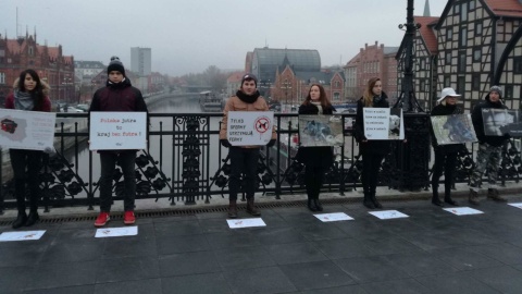 Akcja przeciw hodowli zwierząt na futra w Bydgoszczy