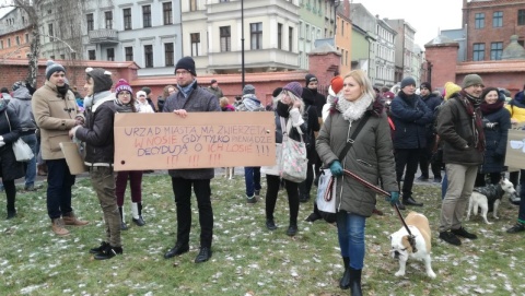 Miłośnicy zwierząt protestowali w obronie toruńskiego schroniska