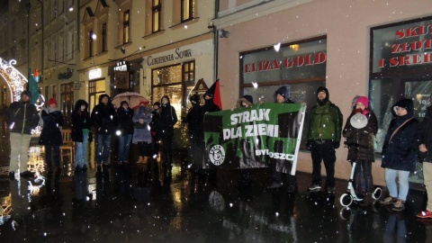 Strajk dla Ziemi - protestują, by chronić nasze zdrowie i życie