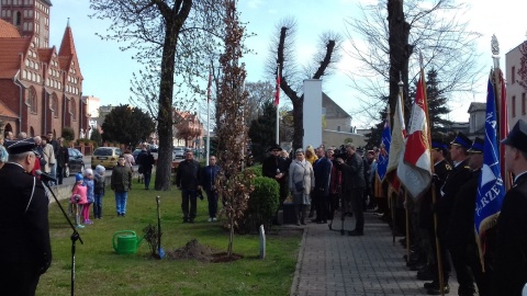 Dąb Pamięci ma nam przypominać o zbrodni katyńskiej