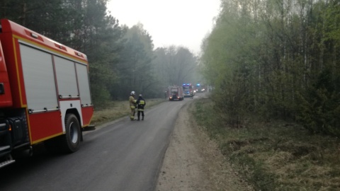 Płoną lasy w regionie. Ponad 100 strażaków walczyło z ogniem w Dubielnie [aktualizacja, wideo]