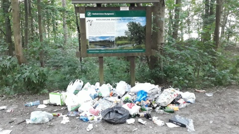 Dzika plaża w Pieckach bez śmieci Wójt obiecuje, że postawi kontenery