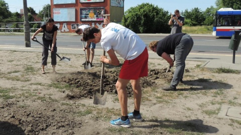 Bydgoszczanie zasadzili pierwszą kwietną łąkę. Będą następne