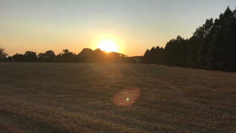 Wybory do samorządu rolniczego wg nowych zasad