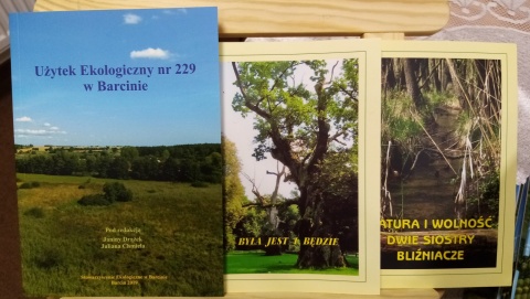 Ale ciekawostka Przyrodnicy znaleźli rzadką roślinę w Barcinie