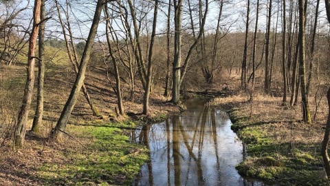 Woda a zmiany klimatu. Weź udział w kursie online