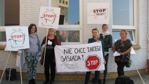 Nie chcą TIR-ów i smrodu. Protest przeciwko budowie ubojni w Paterku [wideo]