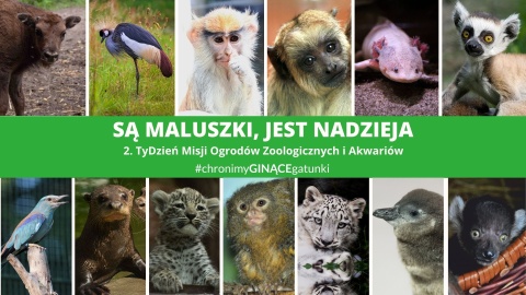 Dzieci poznawały zwierzęta oraz misję ogrodów zoologicznych. Podobało im się