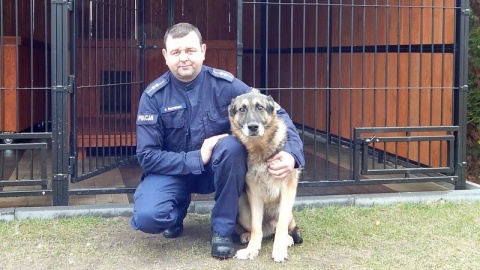 Najlepszy nos w policji przechodzi na zasłużoną emeryturę [zdjęcia, wideo]