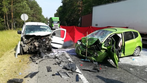 Policja szuka świadków tragicznego wypadku pod Toruniem