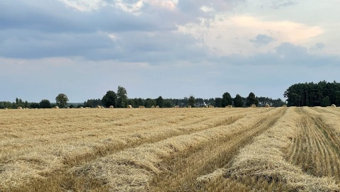 Rolniku Chcesz wsparcia Koniecznie złóż wniosek do ARiMR. Czasu już mało