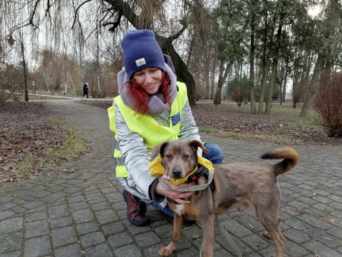 Bieg i adopcja psów w jednym. Zwierzaki ze schroniska są bardzo oddane