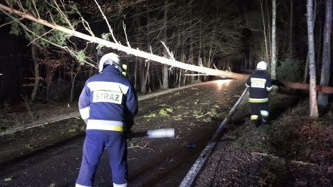 Niemal 3 tysiące gospodarstw czeka jeszcze na prąd w Kujawsko-Pomorskiem