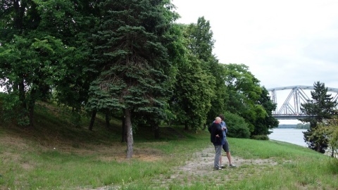 Czy przetrwają drzewa i krzewy z remontowanego Bulwaru Filadelfijskiego