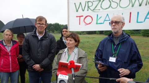 Las i łąki czy nowe drogi i inwestycje Walka o toruńskie Wrzosowisko trwa