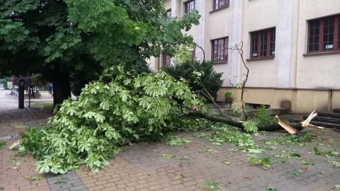 Wichura, grad i ściana deszczu. Nad regionem przeszły gwałtowne burze [wideo]