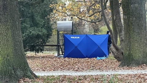 Zwłoki w bydgoskim parku. Policja długo szukała lekarza, który stwierdzi zgon