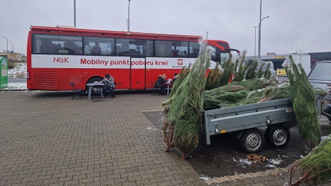 Choinka za krew Akcja Lasów Państwowych i Narodowego Centrum Krwi [lista punktów]