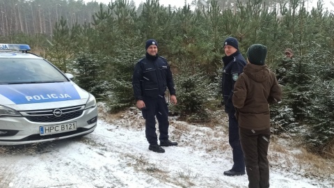 Handel choinkami pod lupą. Policja sprawdza, czy nie pochodzą z nielegalnego źródła