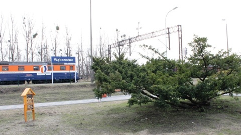 Chcą, by pociągi do Warszawy miały przystanek w Wąbrzeźnie. Zbierają podpisy