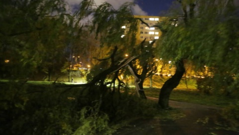 Początek tygodnia nadal z silnym wiatrem IMGW wydał ostrzeżenie dla Kujaw i Pomorza