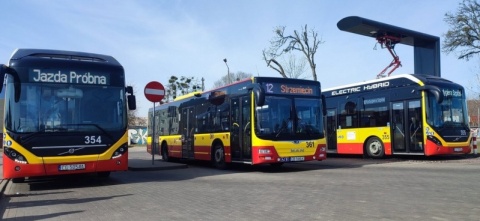 Zgłoś braki w rozkładach lub uszkodzenie przystanku. Nowa usługa w Grudziądzu