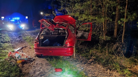 Wiózł za dużo pasażerów i był pijany. Auto uderzyło w drzewo. Sześcioro dzieci w szpitalu [zdjęcia]