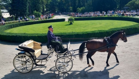 Liczy się tradycja powożenia, elegancja i styl. Bracia bezkonkurencyjni w Lubostroniu [wideo, zdjęcia]