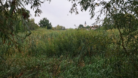 Zbiornik, który znajduje się w centrum Wtelna, od wielu lat zarastał, wypłycał się i wysychał/fot. Damian Klich