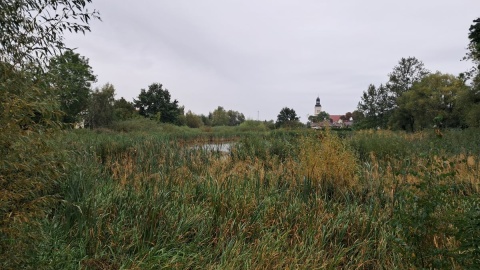 Zbiornik, który znajduje się w centrum Wtelna, od wielu lat zarastał, wypłycał się i wysychał/fot. Damian Klich