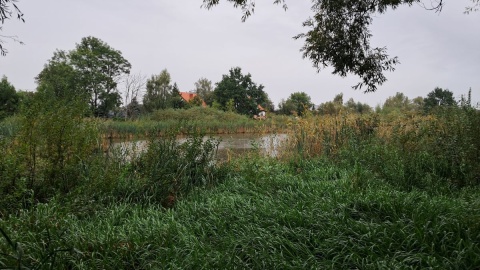 Zbiornik, który znajduje się w centrum Wtelna, od wielu lat zarastał, wypłycał się i wysychał/fot. Damian Klich