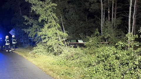 Auto wylądowało na drzewie, a kierowca zniknął. Służby szukały go przez wiele godzin/fot. OSP Solec Kujawski/Facebook