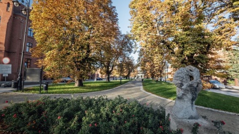 Zakończyła się kompleksowa rewitalizacja placu Kościeleckich/fot. bydgoszcz.pl