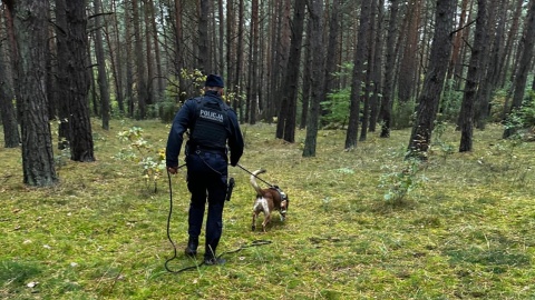 W sobotę (19 października), w Lipinkach w powiecie świeckim zabłądziła w lesie 50 - letnia turystka z Kwidzyna. Odnalazł ją pies policyjny/fot. KPP Świecie