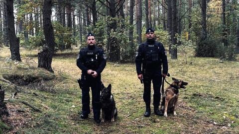 W sobotę (19 października), w Lipinkach w powiecie świeckim zabłądziła w lesie 50 - letnia turystka z Kwidzyna. Odnalazł ją pies policyjny/fot. KPP Świecie