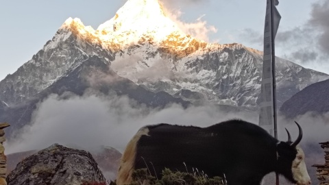 Sławomir Wiśniewski zdobył w Himalajach szczyt Ama Dablam/fot. materiały prywatne