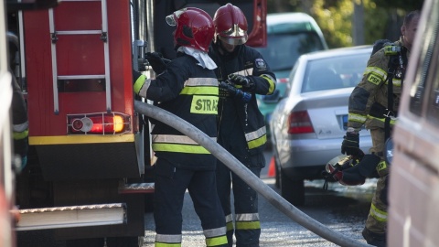 Pożar na terenie ogródków działkowych w Grudziądzu. Dwaj mężczyźni nie żyją