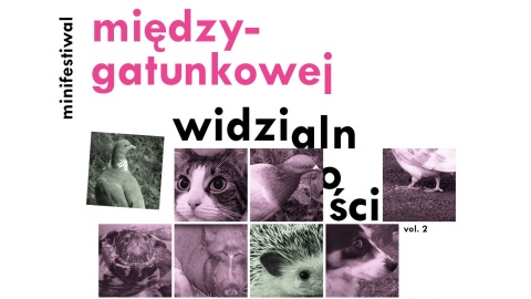 Będą odkrywać potrzeby innych, czujących istot. Minifestiwal w Galerii Miejskiej bwa