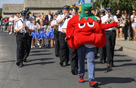 Był konkurs na największy okaz, parada i bitwa Festyn Pomidorowy w Jeziorach Wielkich