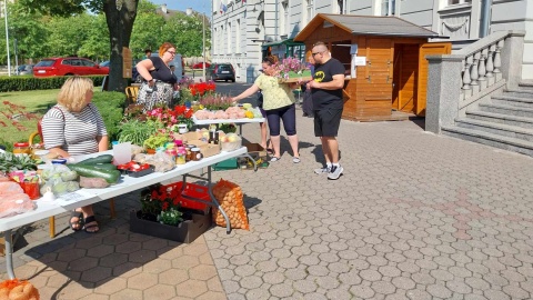 Najpiękniejsza pomoc to ta naturalna, od serca. Kiermasz Bary natury pod bydgoską bazyliką [zdjęcia]