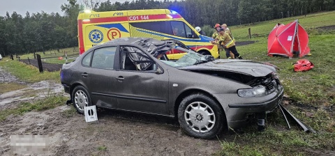 Samochód uderzył w łosia i wpadł do stawu w Sokoligórze. Nie żyje 25-latka